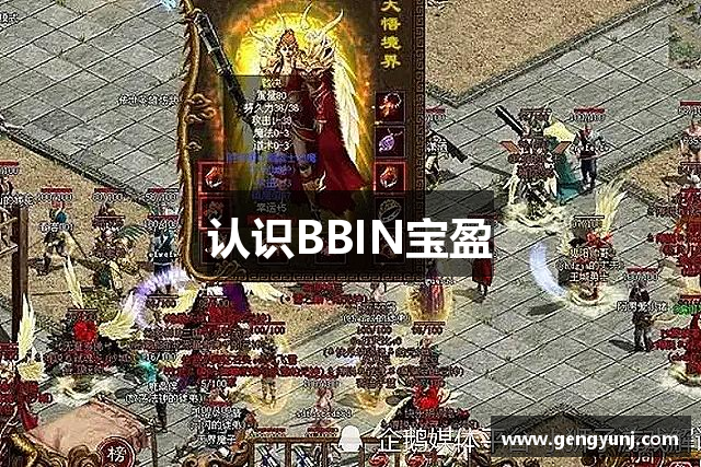 认识BBIN宝盈